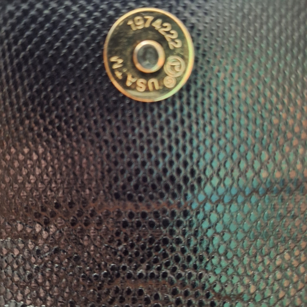 Ashneil Elegant Black Cobra Clutch with Gold Chain - Picture 3 of 6